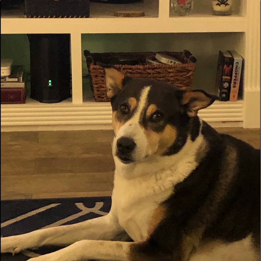 Meet your Posher, Dean